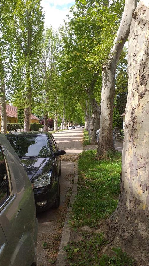 Heni Apartman Kanije Dış mekan fotoğraf